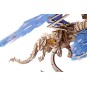 DRAGON WINDSTORM
