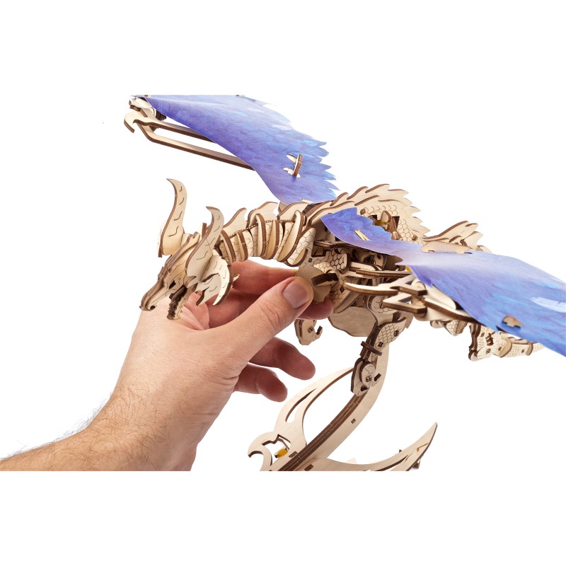 DRAGON WINDSTORM