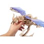 DRAGON WINDSTORM