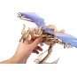 Drache-Windsturm