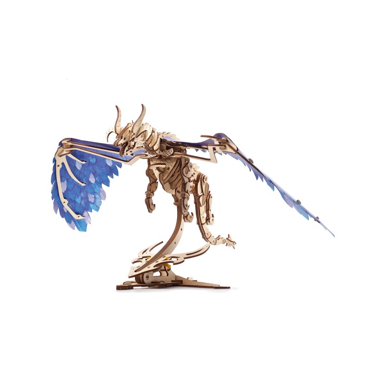DRAGON WINDSTORM