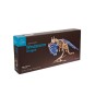 Dragon Windstorm - Puzzle 3D Mécanique en Bois